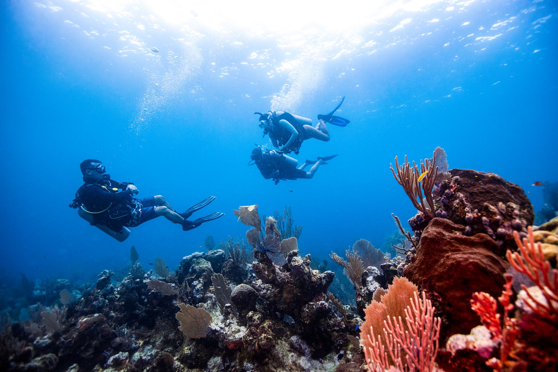 Divemaster PADI - Buzo Guía (Nivel Profesional)