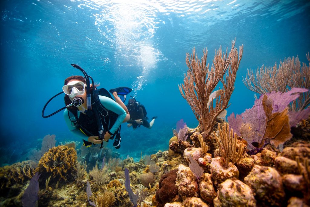 Buzo de Aguas Abiertas PADI (Open Water Diver)