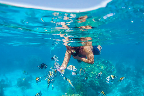 Discover Snorkeling