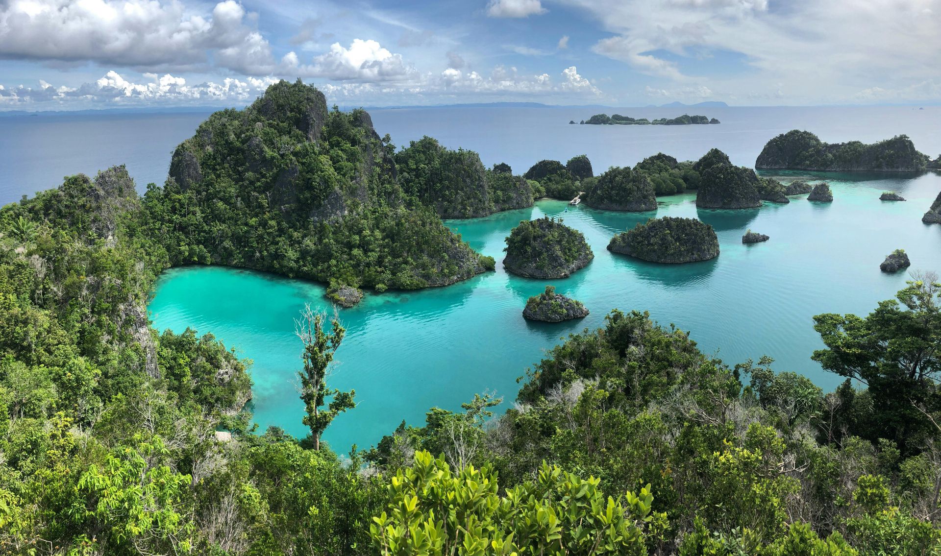Raja Ampat - Indonesia