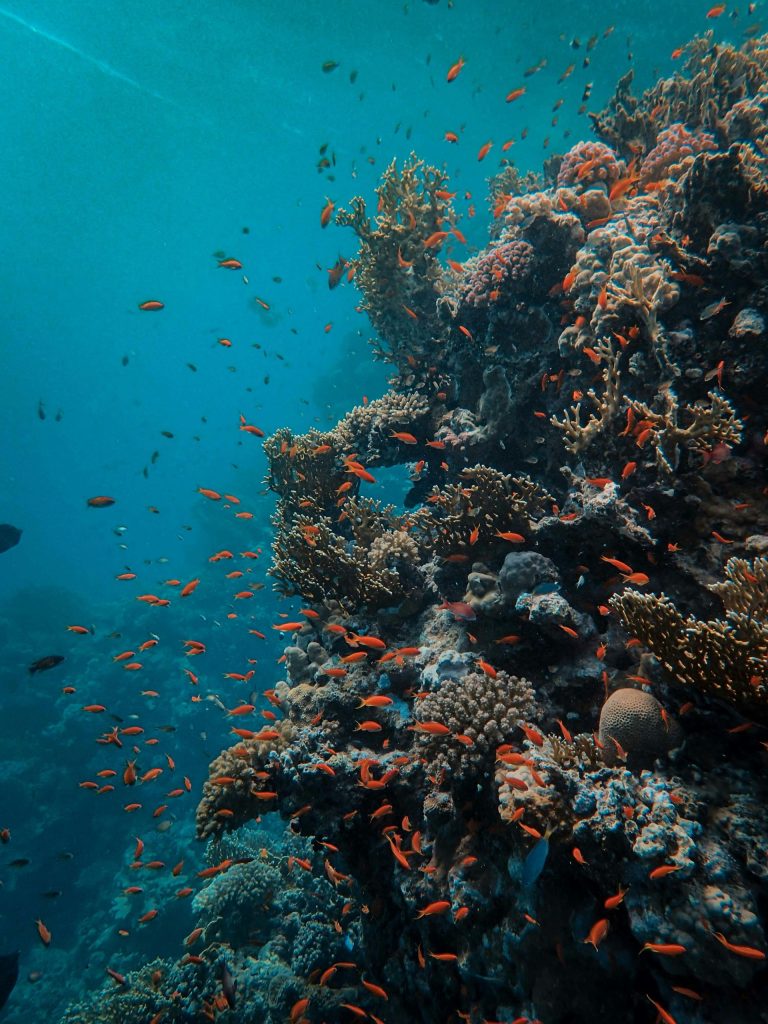 Egipto y el Mar Rojo