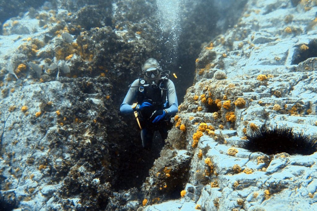 SFF Malpelo - Expedición Septiembre
