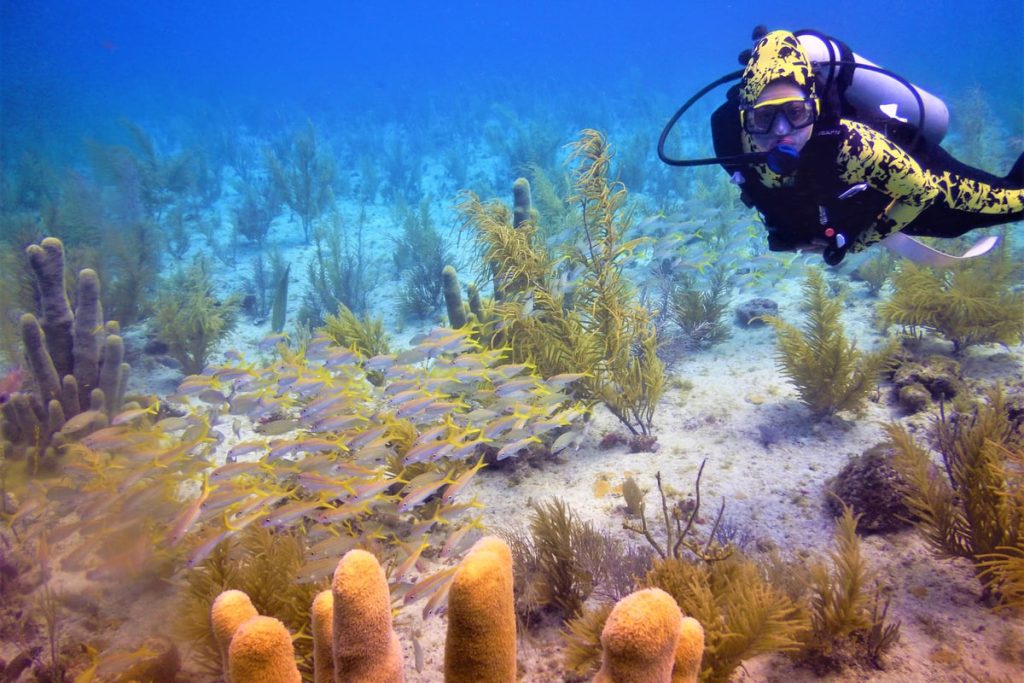 Providencia - Tercera Barrera de Coral